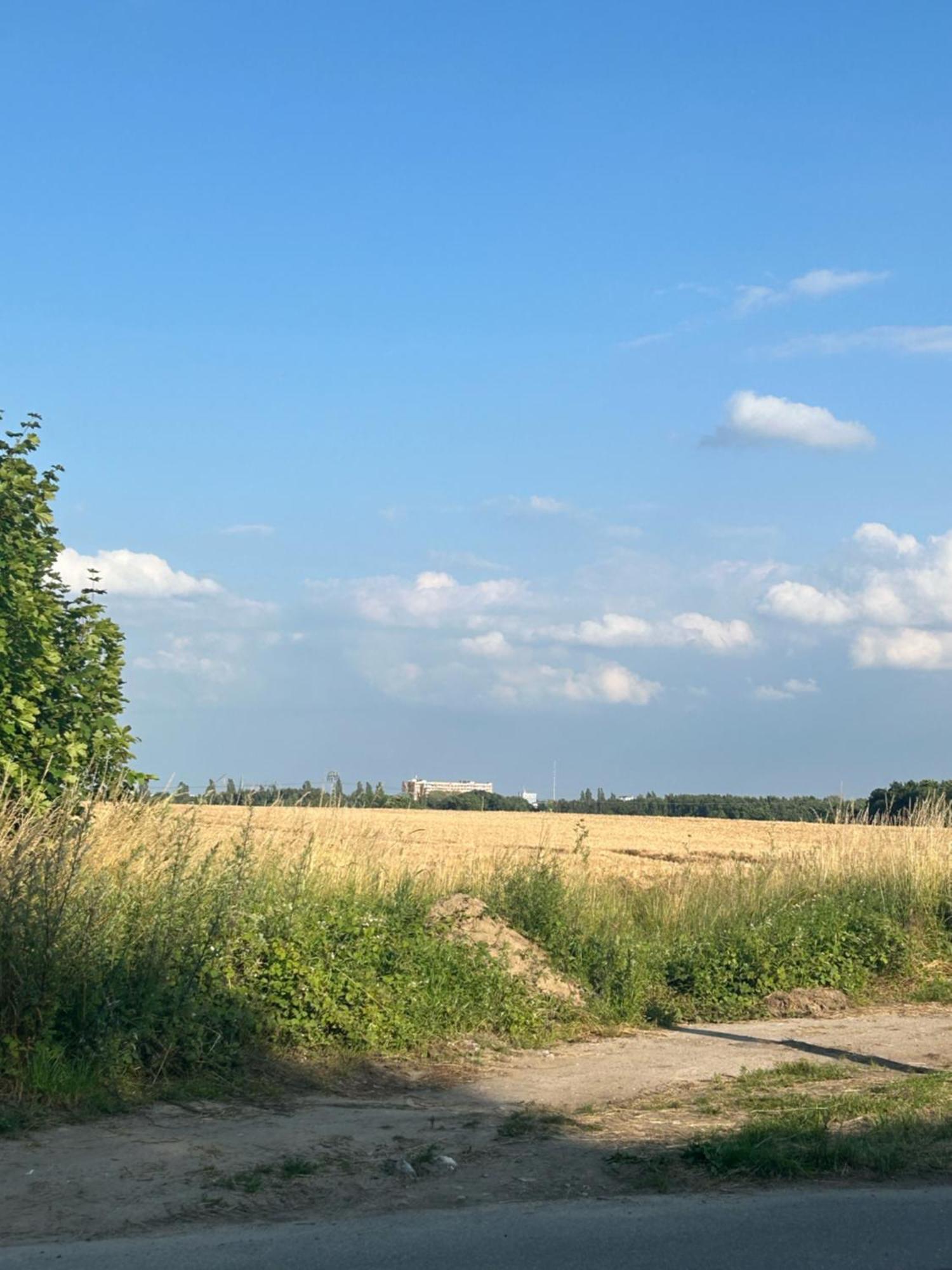 Mit Feldblick Apartment